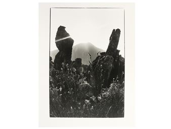 South Africa - Cornelius Hansen