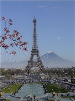 Landscape 29 (cherry blossom Eiffel 4) - Alain Bublex