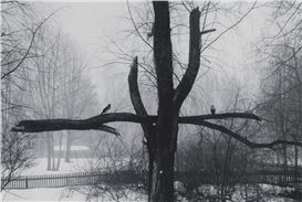Exhibition at Nailya Alexander Gallery Features the Work of Alexey Titarenko and Pentti Sammallahti