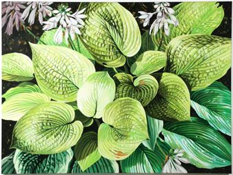 study of naturally occurring patterns and contrasts - Susan Tinker