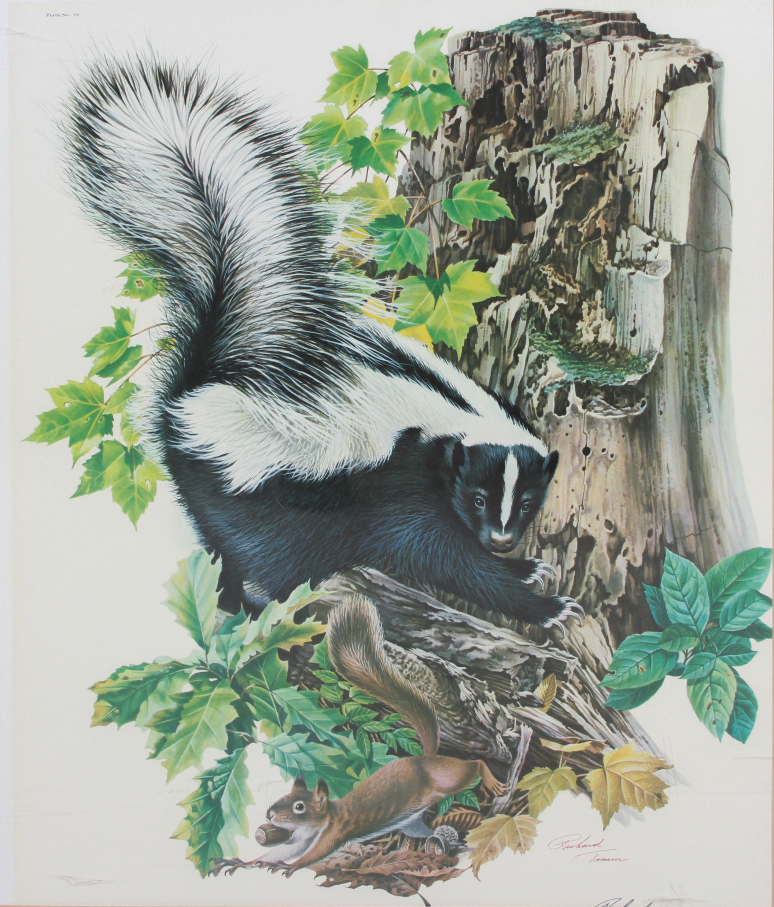 Richard Timm | Framed Lithographs | MutualArt