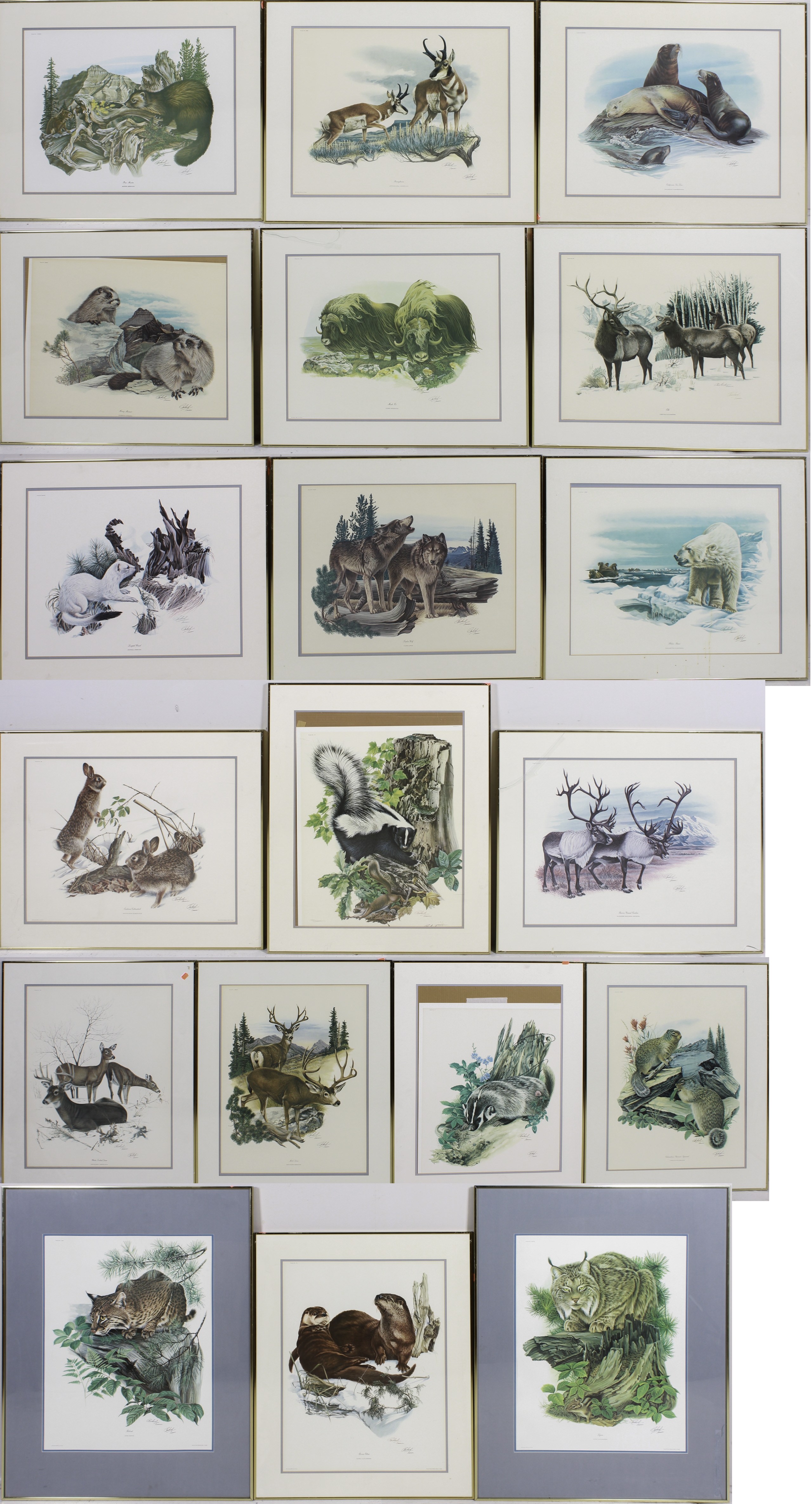 Richard Timm | Framed Lithographs | MutualArt