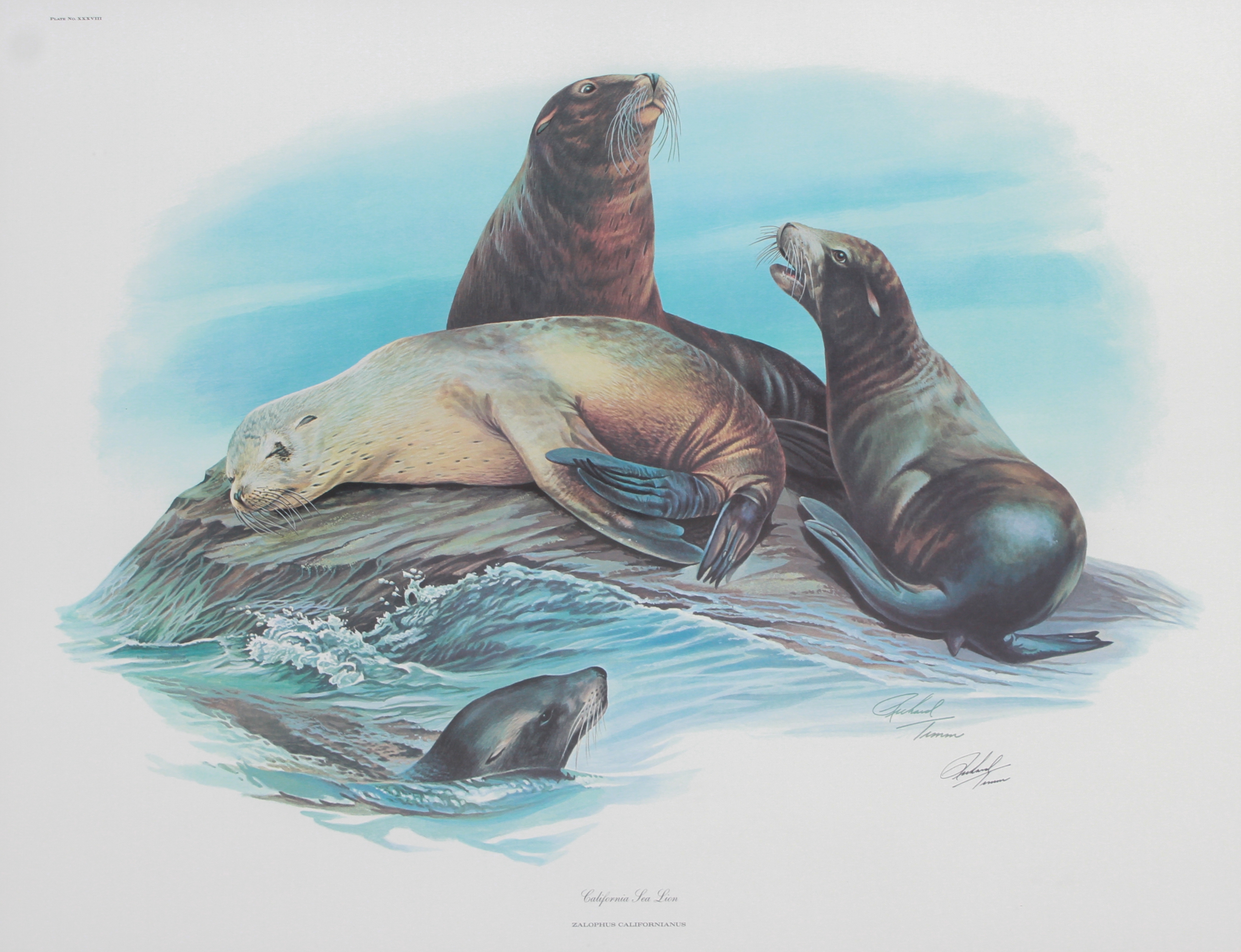 Richard Timm | Framed Lithographs | MutualArt