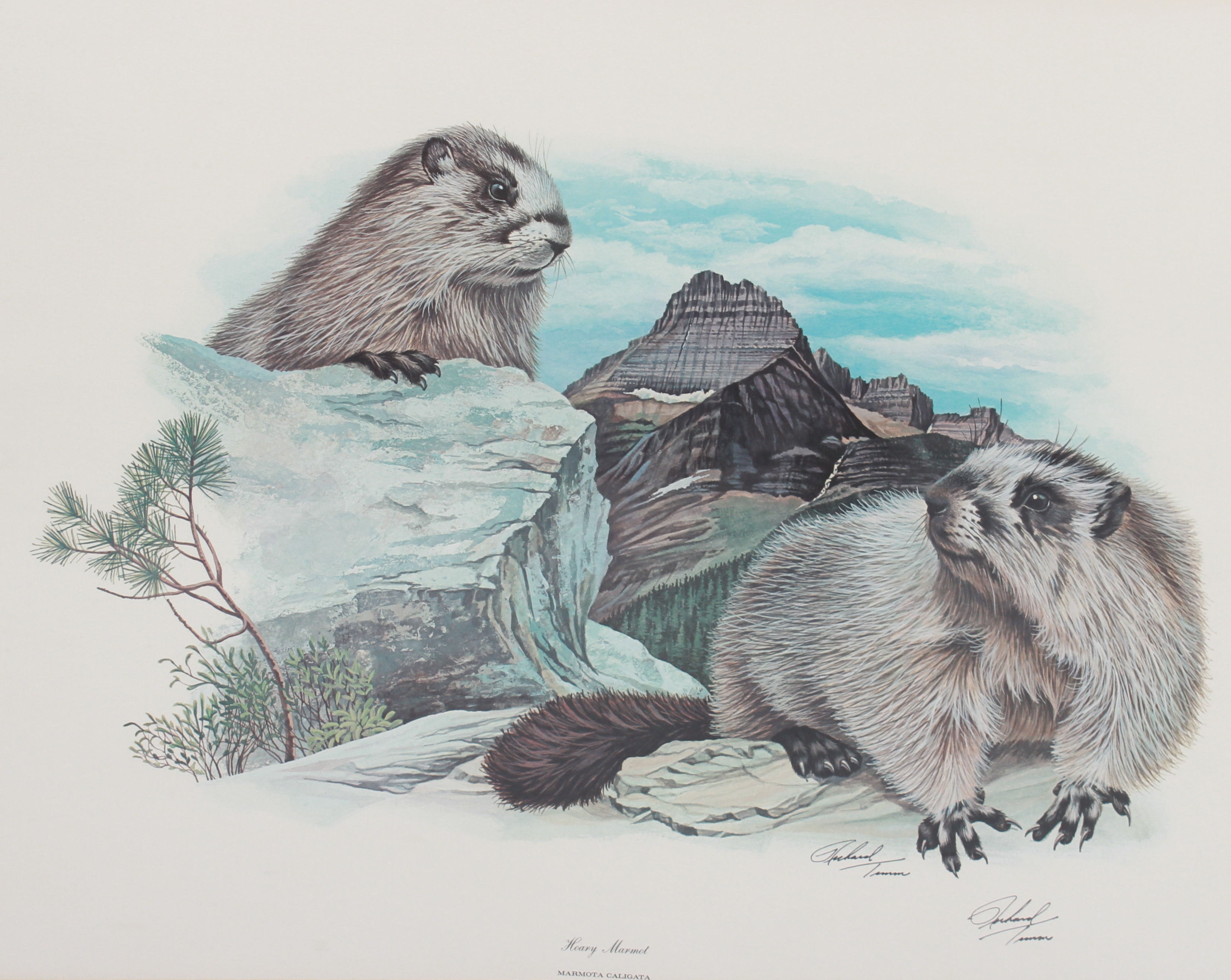 Richard Timm | Framed Lithographs | MutualArt