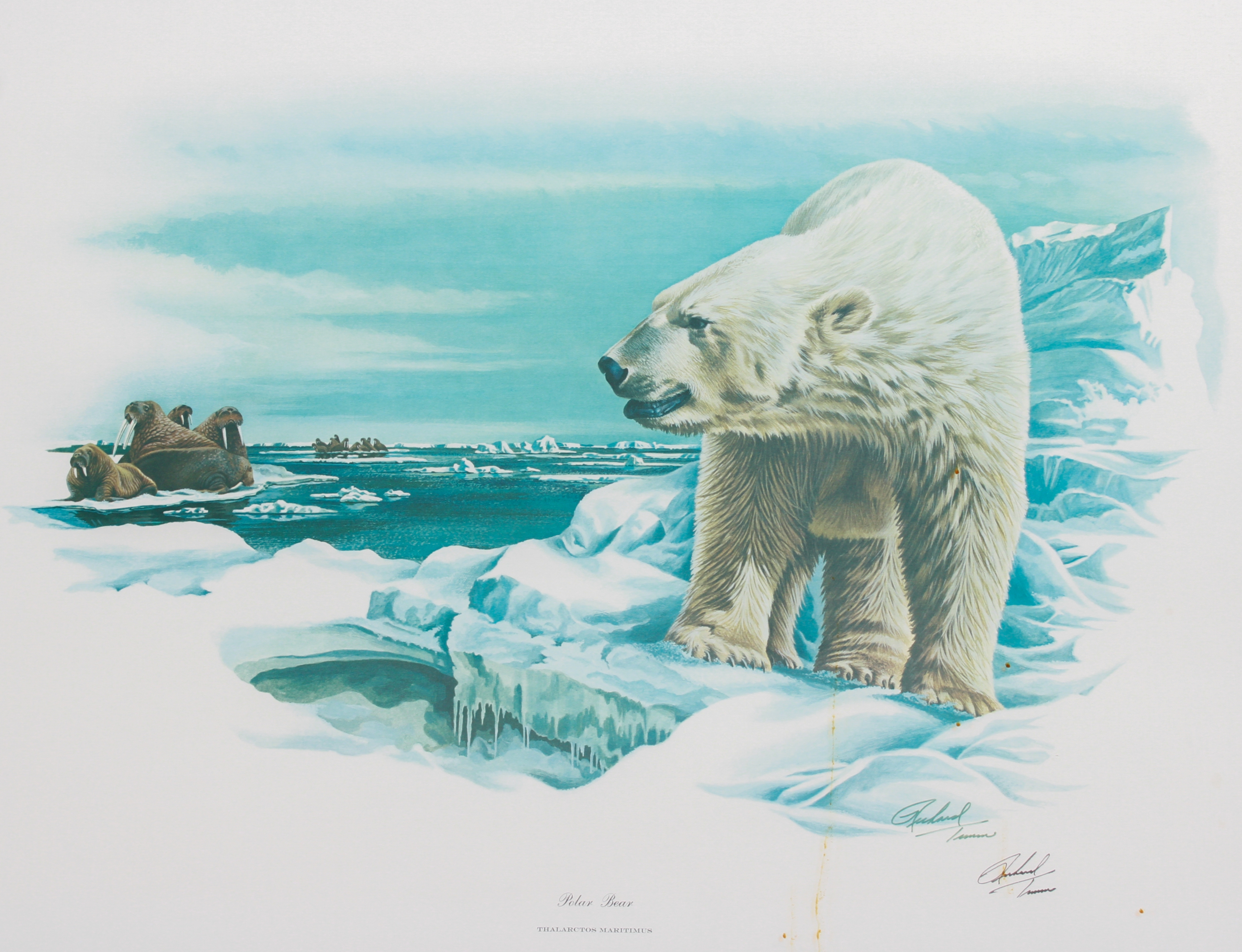 Richard Timm | Framed Lithographs | MutualArt
