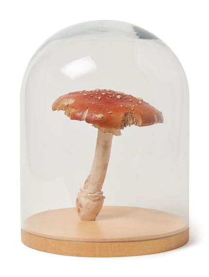 Amanita Muscaria #11 by Roxy Paine, Executed in 2004