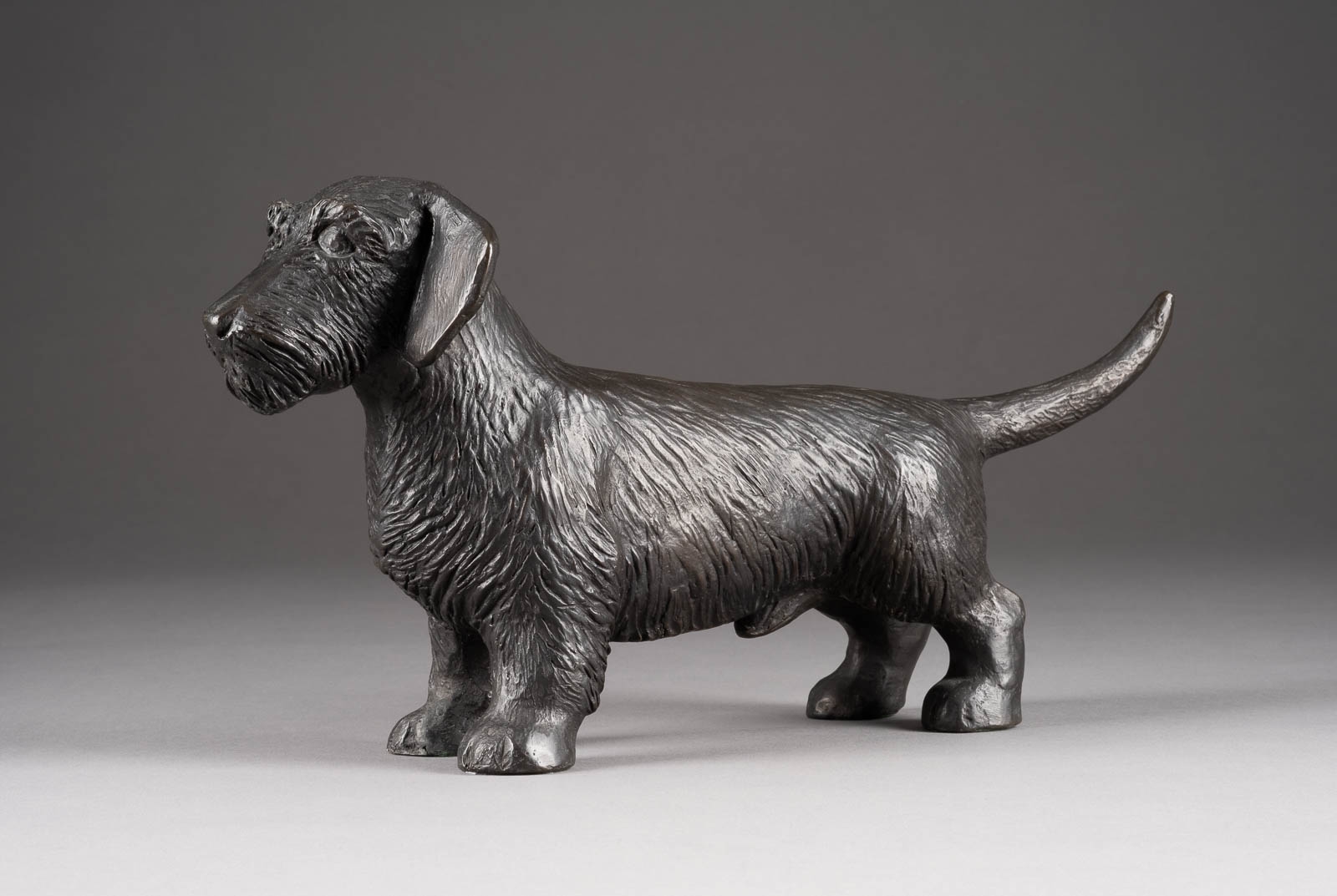 Artwork by Walter Liebal, RAUHAARDACKEL, Made of bronze, dark patinated, on the plinth