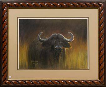 Buffalo - Ignatius Marx