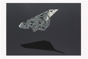 Airplane - Nuno Viegas