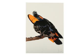 Biggles - Agent Provocateur