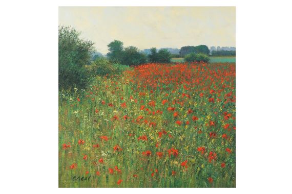 Poppies in a field, Gloucestershire by Charles Neal