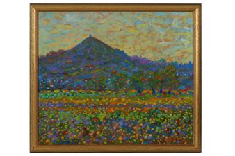 Buttercups, Glastonbury Tor - Paul Stephens