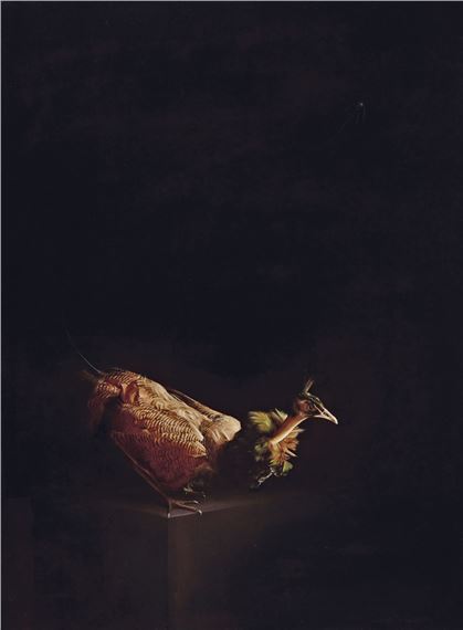Peahen by Sam Leach, 2008