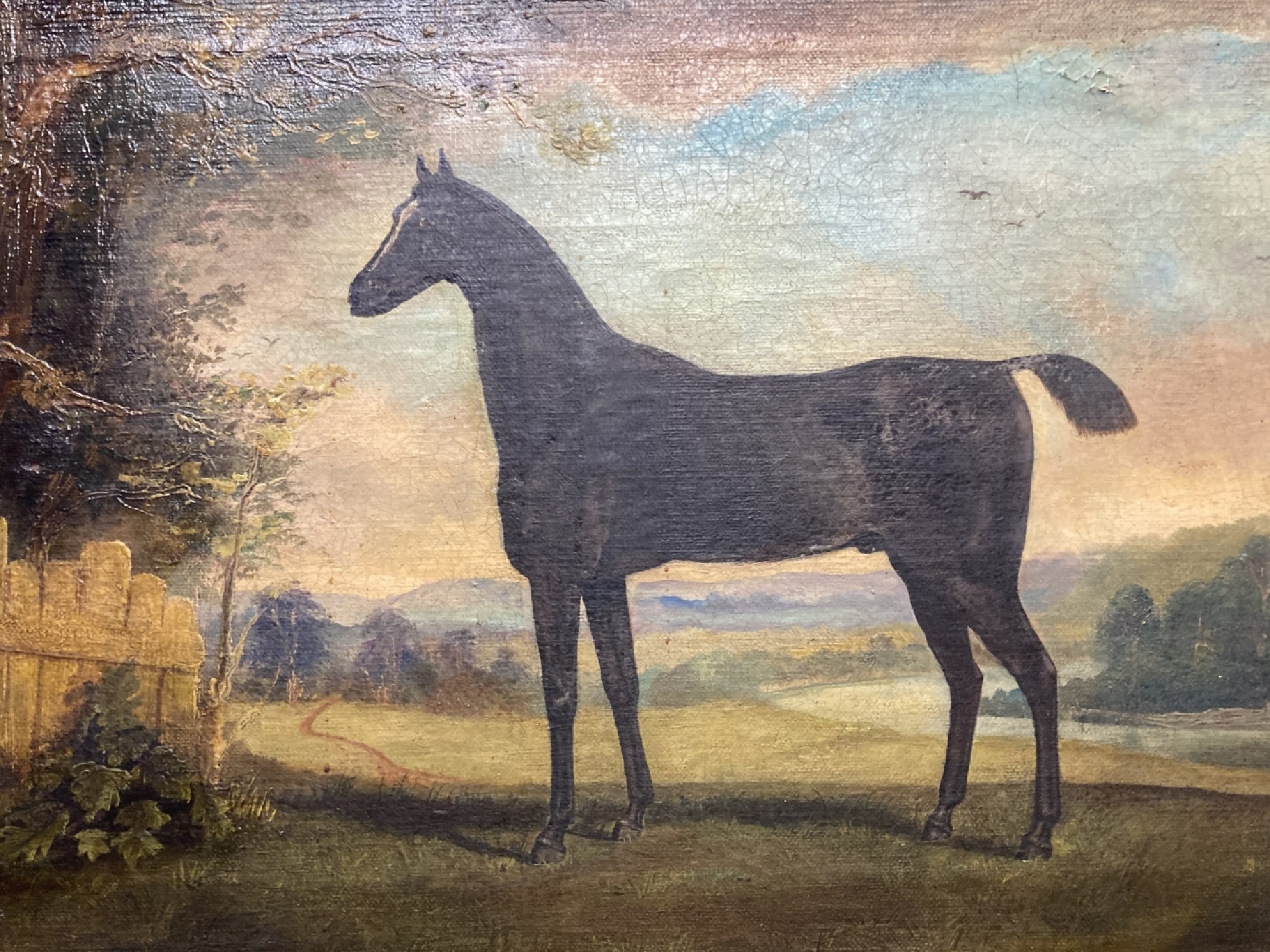 British School, 19th Century | Primitive study of a black stallion in ...