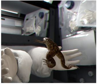 Group Presentation - Pace New York (510 West 25th Street)