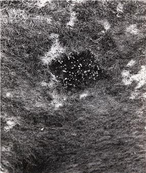 AN INVISIBLE HOLE - Keith Arnatt