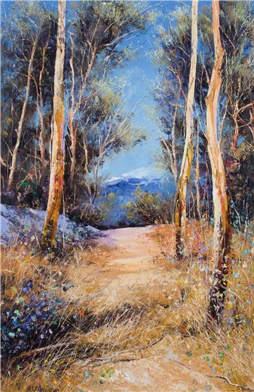 Bush Track, Blue Mountains by Alex Andrews
