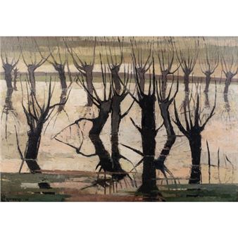 FLOODS, SUMMERSET - Cecile Crombeke