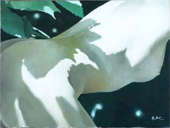 Shattuckitte - Michel Leclercq