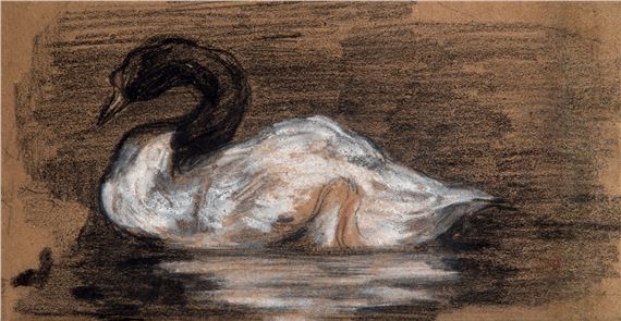 Study for a swan