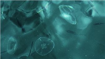 Water Reverie - Borusan Contemporary