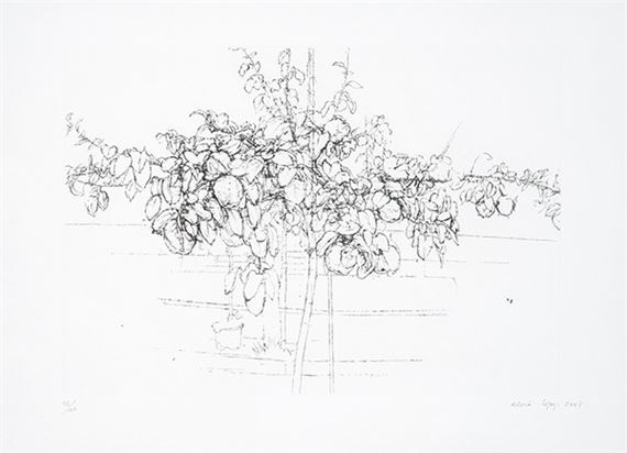 Antonio López García | Fruit Tree (2007) | MutualArt