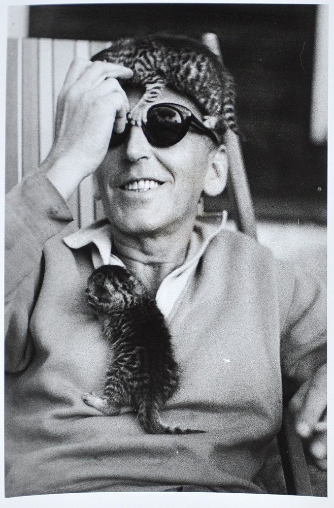 Artwork by Oldřich Škácha, J. Mucha with kittens, Made of photo