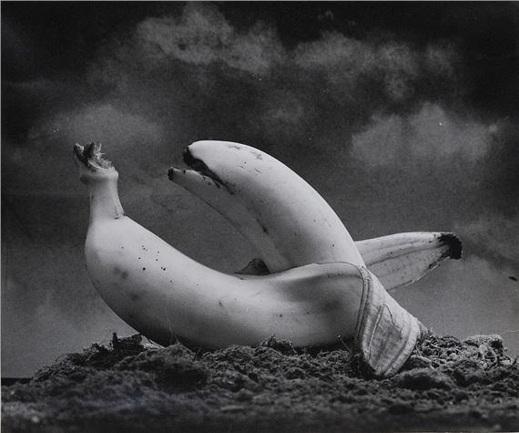 untitled by Jiří Stach