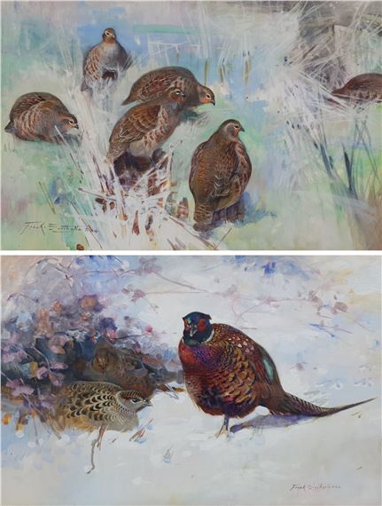 Partridges and Pheasants by Frank Southgate
