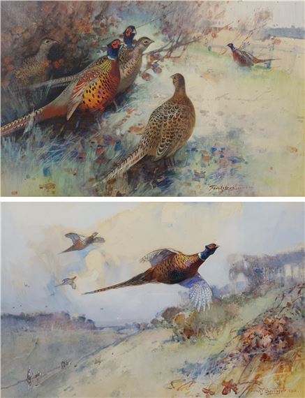 Pheasants by Frank Southgate