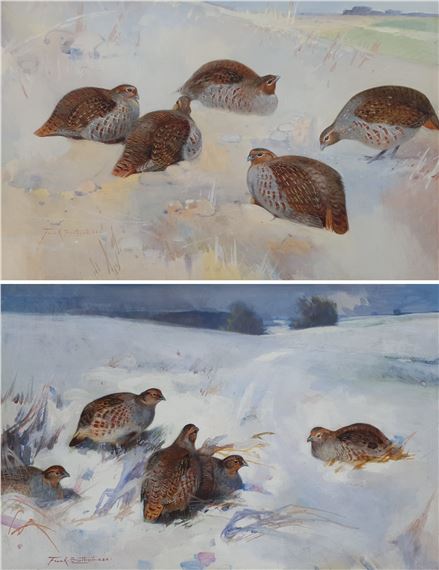 Partridges in the Snow by Frank Southgate