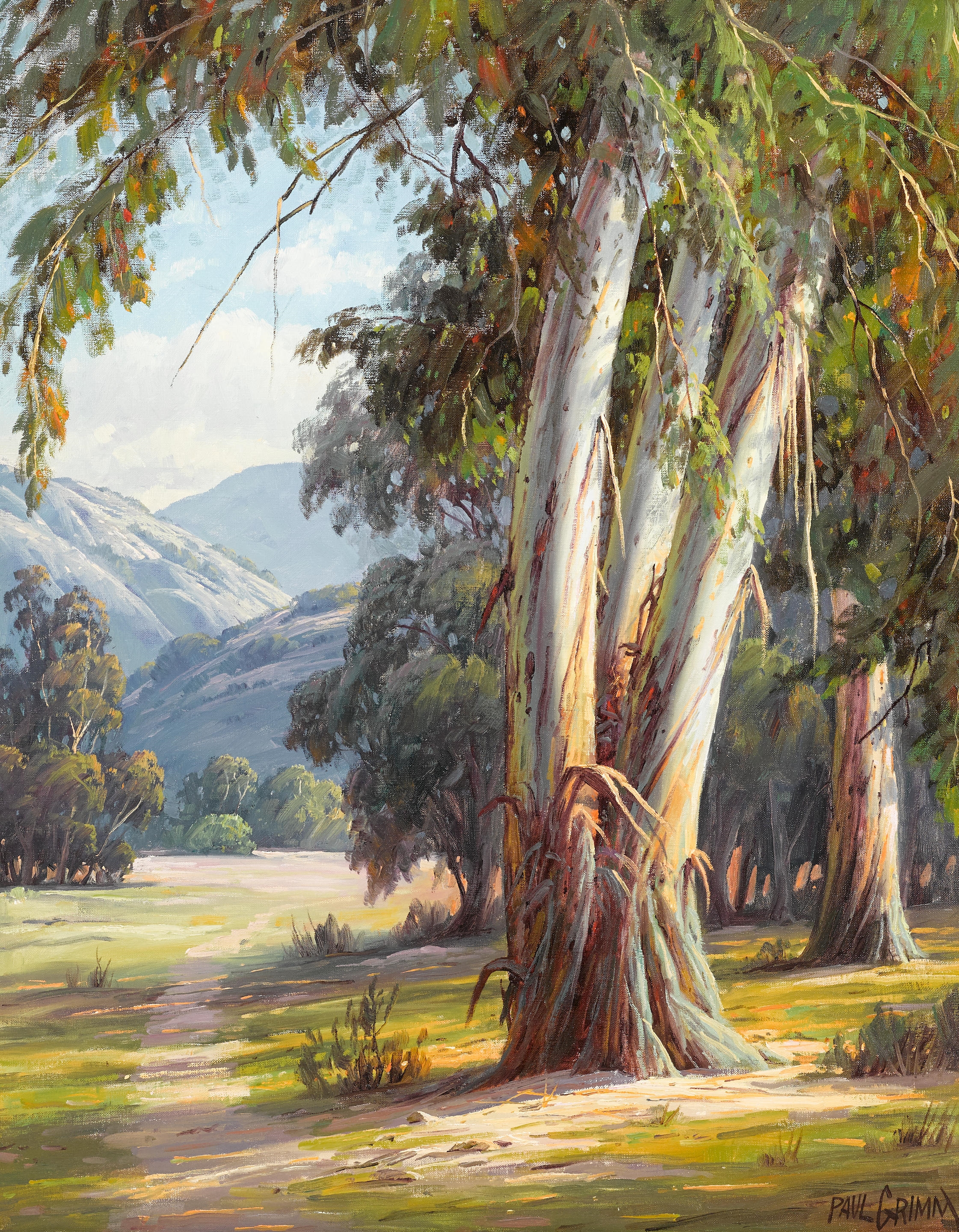 Artwork by Paul Grimm, Eucalyptus Trees and Distant Hills, Made of oil on canvas