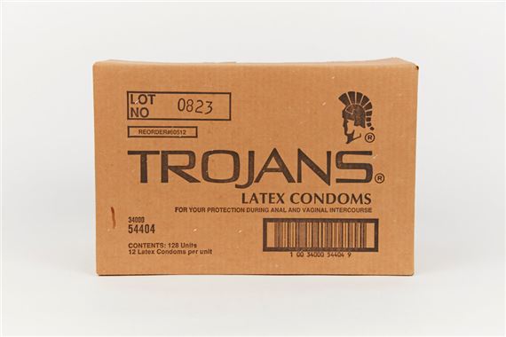 'Trojans Box' sculpture - Adam Rolston