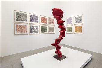 Tony Cragg - Buchmann Galerie, Lugano