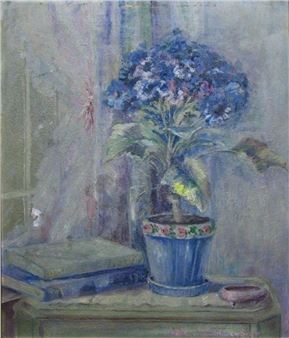 Cineraria - Helen Zimmerman