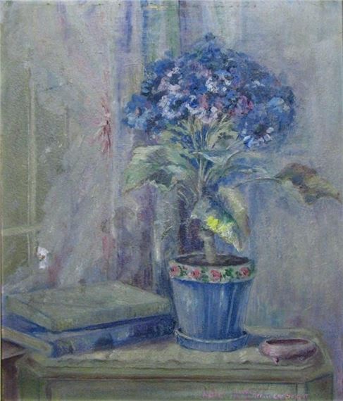 Cineraria - Helen Zimmerman