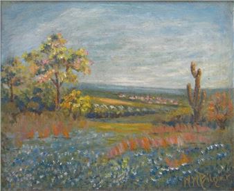 Southwest Spring Meadow - Martha Bilger
