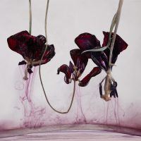 Kathrin Linkersdorff: Fairies - Galerie Springer Berlin