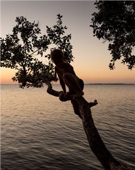 ONLINE: Contemplation - Laurence Miller Gallery