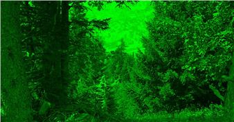 Tourism - Kunsthaus Glarus