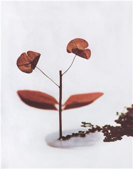 Jacques Blin & Bertrand Hugues: Seconde Nature - Galerie Eric Mouchet, France