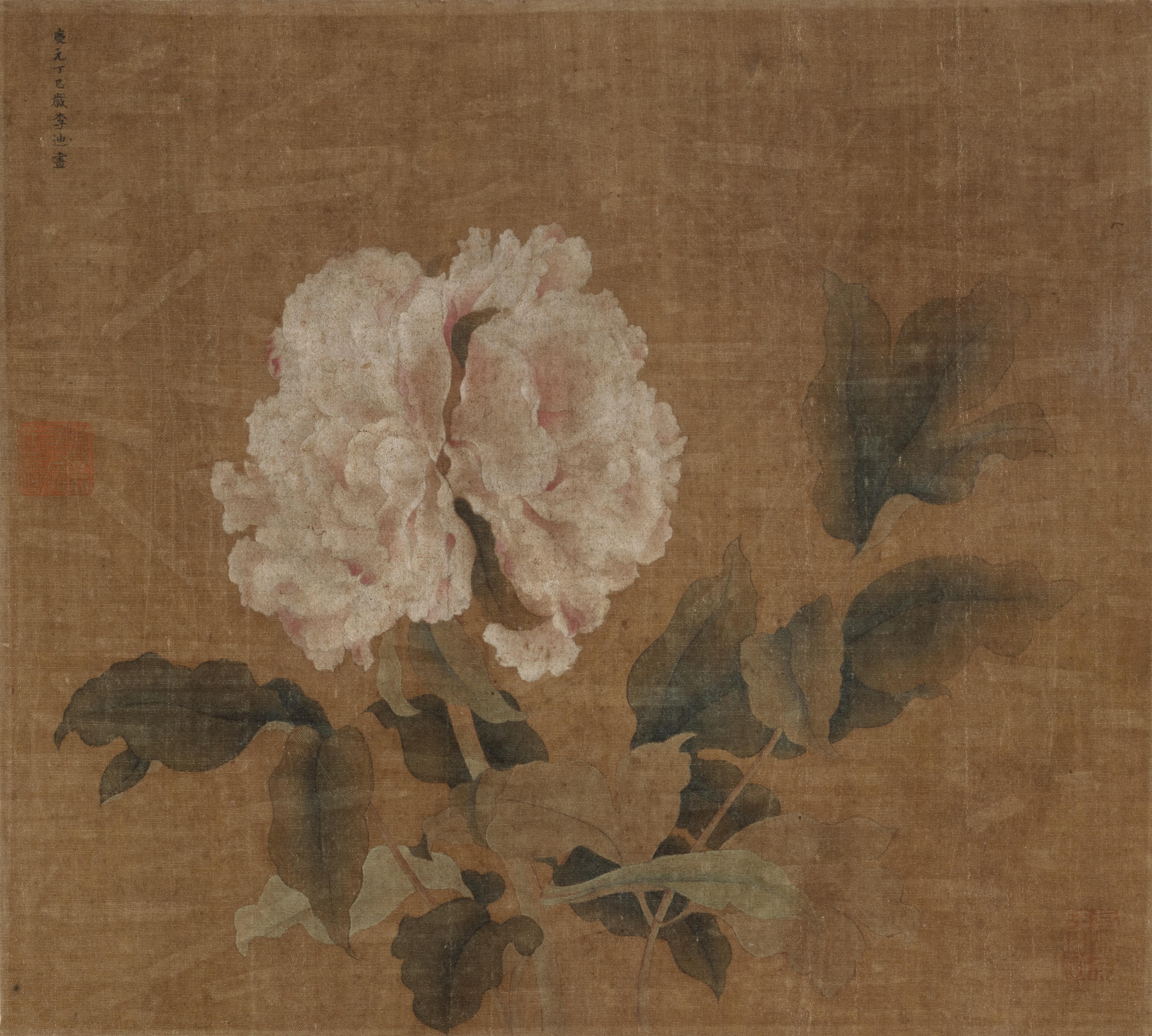 Li Di | Famous flower | MutualArt