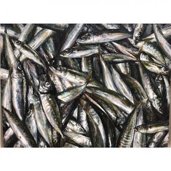 FISH - Panagiotis Mpelntekos