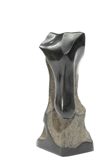 Organic form by Niels Peter Bruun Nielsen