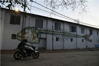 Putting Alappuzha on the Global Art Map