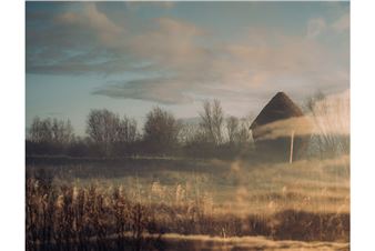 The Oak Project Announces First Artist Commission by Studio Morison