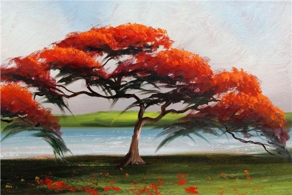 ROYAL POINCIANA by Alfred Hair