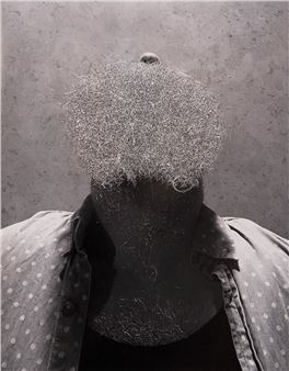 Plume - William Mackrell