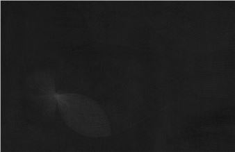 Air - Shirazeh Houshiary