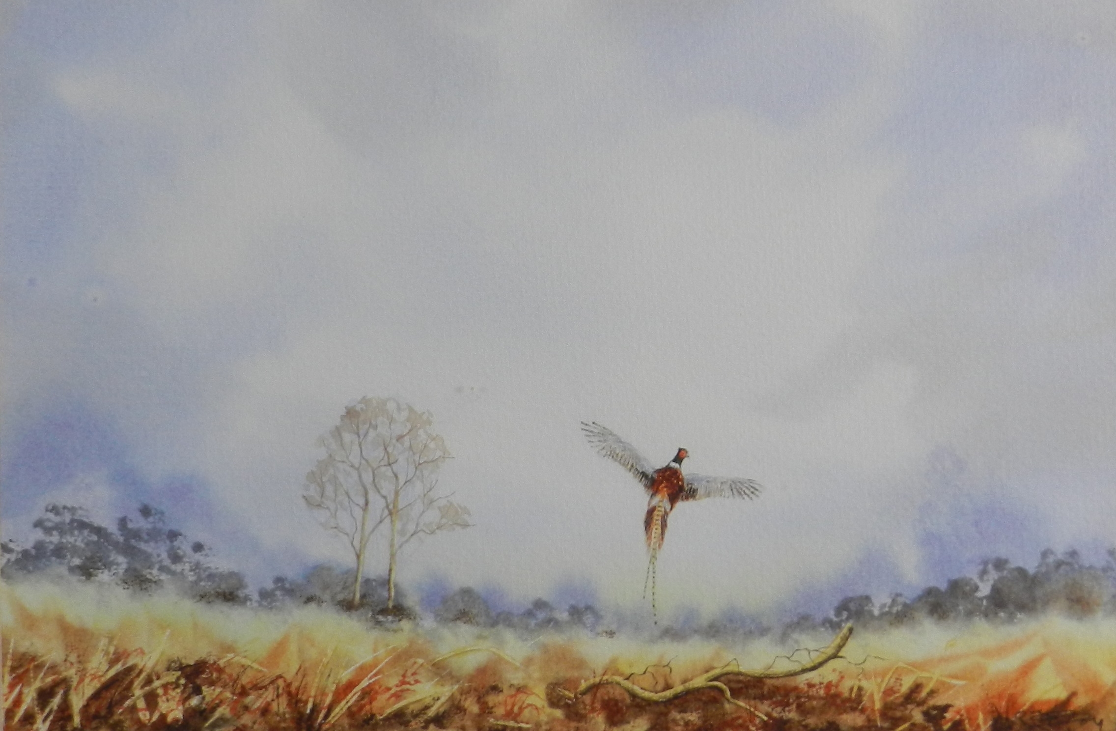 Ricky Figg | Four watercolours of Pheasants and Ducks | MutualArt